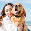 Reflective Dog Collar Adjustable Cat Collar Safety Nylon Pet Collar Durable Comfortable Reflective Pet Collar Pet Supplies