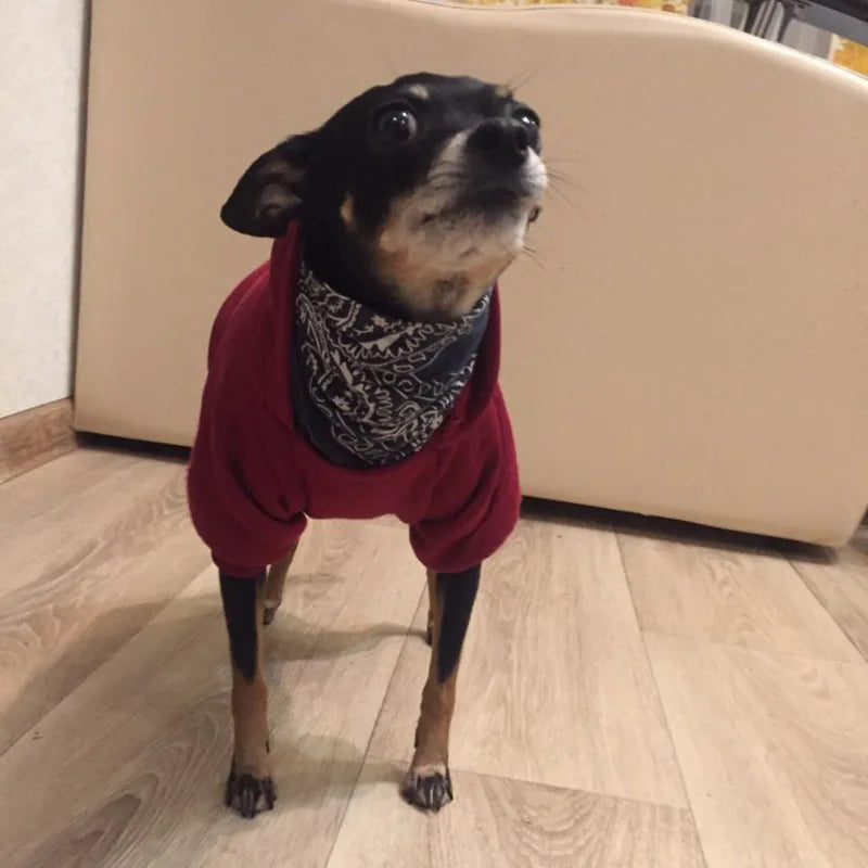 Winter Pet Doggy Clothing Leisure Small Dogs Hoodies Coat for Puppy Soft Warm Cat Dog Sweater Sweatshirt Teddy Chihuahua Clothes