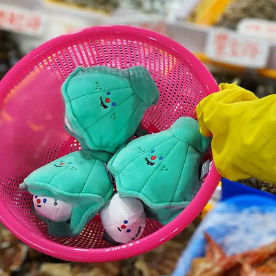 Dog Plush Toy Training Pet Toy Interactive Dog Treat Toy Seashell Pearl Shaped Dog Plushie For Backyard Lawn Pet House Garden