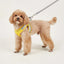 Dog Harness Small Dogs Breast-band Pet Accessories Leash Reflective Soft Mesh Dog Harness for Small and Medium Breeds