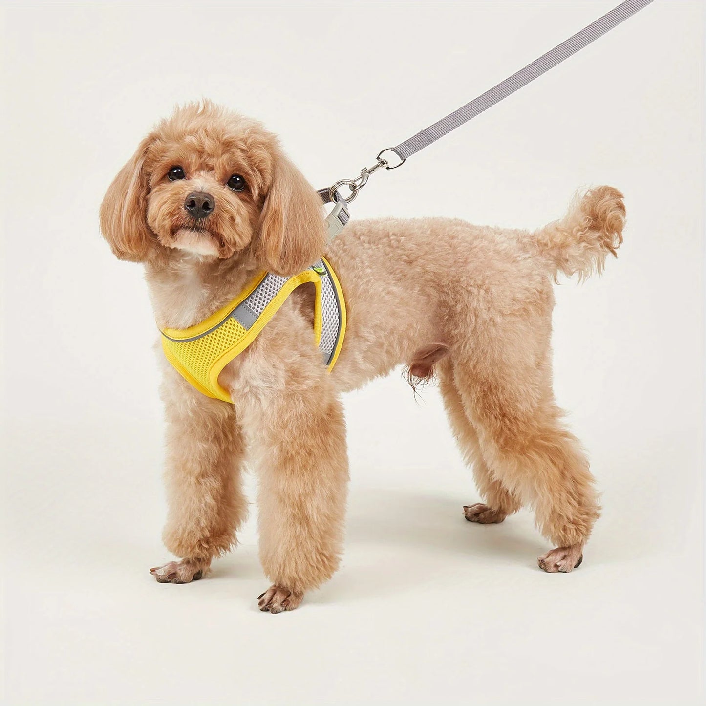 Dog Harness Small Dogs Breast-band Pet Accessories Leash Reflective Soft Mesh Dog Harness for Small and Medium Breeds