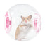 Hamster Run Ball Cute Hamster Exercise Toys For Small Animal Breathable Silent 7-inch Dwarf Hamster Running Ball Transparent