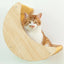 1Pc Wall Mounted Cat Hammock Ladder and Platform Moon Shaped Wooden Climbing Shelf Cats Furniture for Kitty Playing and Sleeping