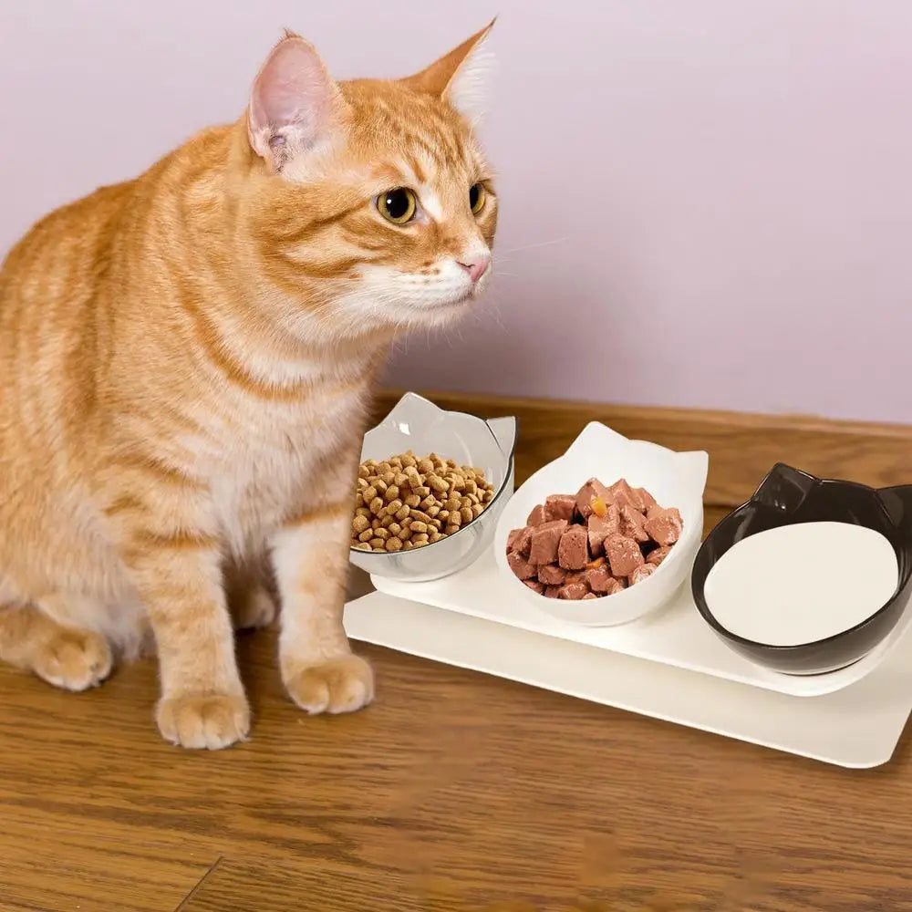 Dog Bowls Elevated Anti-Vomit Tilted Water And Food Feeder With 3 Dishes Pet Feeding Accessories For Cat And Dog Bowls For Dry