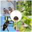 Coconut Bird Nest Bird Hideaway Parakeet Nest Bird House Hut Cage Coconut Shell Bird Nest Parakeet Nesting Box Parrot Home