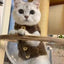 Cat clothes, warm lamb wool vest, autumn and winter teddy pomeranian pet winter clothes, cute korean clothes