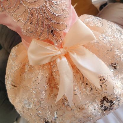 Floral Embroidered Lace Dog Dress for Small Dogs Luxury Design Dog Clothes Summer Bowknot Princess Dress Pet Apparel