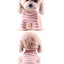 Dog Spring, Autumn, and Winter Bottom Sweater with Elastic Cotton for Comfortable Small and Medium sized Pet Cat and Dog Sweater