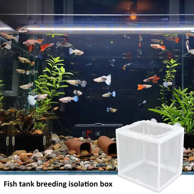 Fish Breeder Box with Suction, Aquarium Hatcher, Mesh Box, Juvenile Fish Separation Net, Tank Incubator Box, Fry Hatchery, DIY