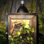 Reptile Detachable Habitat Tank Terrarium Transparent Aluminium Air Screen Cage Front Opening Door Full View Lizard Chameleon