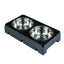 Elevated Dog Feeder Dogs Bowls Adjustable Raised Stand with Double Stainless Steel Food Water Bowls for Small Medium Large Dogs