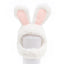 Plush Rabbit Ears Pet Dog Accessories Cosplay Cat Hat Winter Lovely New Year Christmas Puppy Headgear Soft Velvet Pet Supplies