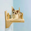 Cat Bridge Cat Tree Wall Furniture, Wooden Structure, Rope Net Design, Suitable for Kitten to Play and Exercise Climbing Wall