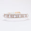 Luxury Rhinestone Puppy Collar for Small Dogs Cat Necklace Bling Crystal Jewelry Pet Accessorie Princess Diamond Wedding Collar