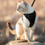 Cat Harness and Leash for Walking, Escape Proof Soft Adjustable Vest Harnesses for Cats, EasyControl