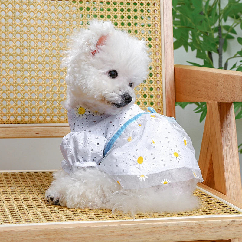 Daisy Embroidery Fancy Dresses for Small Dogs Hollow Veil Princess Party Cat Clothing York Dog New Designer Spring Puppy Clothes