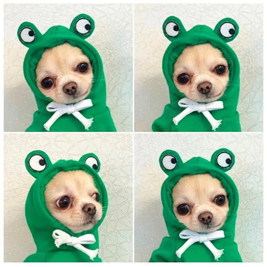Funny Pet Clothes Cute Green Little Frog Dog And Cat Small Dog Autumn And Winter Sweatshirt Plush Outdoor Fashion Cotton Jacket
