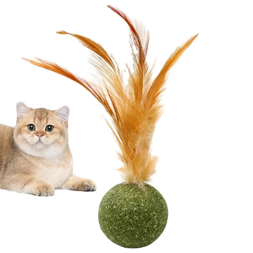 Catnip Ball Feather Cat Toy Ball Feather Cat Tooth Cleaning Cat Toy Catnip Ball Interactive Chew Catnip Pet Supplies