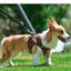 Dog Harness Dog Traction Rope Corduroy Breathable Dog Chest Strap Reflective Pet Chest Strap Walking Rope Set
