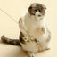 New Handfree Bird/Feather Cat Wand with Bell Powerful Suction Cup Interactive Toys for Cats Kitten Hunting Exercise Pet Products