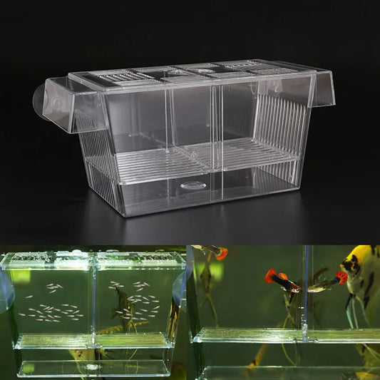 Acrylic Aquarium Fish Breeding Isolation Box Fish Tank Aquarium Breeder Double Guppies Hatching Incubator Fish Tank Accessories