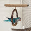 Natural Apple Tree Wood Bird Hanging ring swing Stand Pet Parakeet Budgie Hanging Play Toy Bird Cage Parrot Wooden Desk Holder