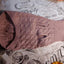 Knitted Clothes For Dogs Chihuahua Sweater For Small Dogs Winter Clothes For Sphinx Cat Dog Sweater For York Warm Dog Clothes