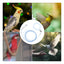 Detachable Bird Foot Chain Outdoor Parrot Pet Flying Rope Biting-Resistant Bird Training Toy With Ankle Foot Ring For Terrace