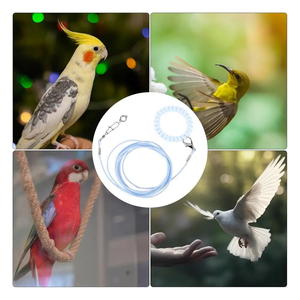 Detachable Bird Foot Chain Outdoor Parrot Pet Flying Rope Biting-Resistant Bird Training Toy With Ankle Foot Ring For Terrace