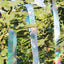 2 Rolls Bird Scare Type Ribbon, Deterrent Visual Audible Reflective Tape to Keep Away Birds, Double Sided Flash Tape