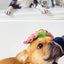 Soft Rubber Dog Brush Comb Cat Bath Brush Rubber Glove Hair Fur Grooming Massage Brush For Dog Cats Pet Bath Supplies