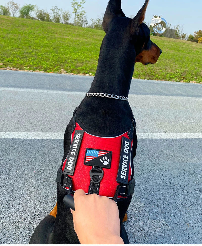 Doberman Dog Harness Collar Leash Set Walking Pet Vest Harnesses for Medium Large Dogs German Shepherd mascotas Chain Supplies