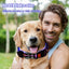 Dog Led Light Up Collar Rechargeable Waterproof Glowing Adjustable Dog Collar Weather Proof Dog Lights For Night Walking