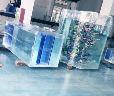 Cylindrical Acrylic Aquariums & Accessories Aquarium Oceanarium Project Sustainable Transparent any Sizes ISO9001:2015