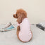 Cute Bow Dog Vest 2024 Dog Clothes Puppy Pullover Summer Pet Clothes Breathable Two-Legged Clothes Solid Color Cat Pet Products