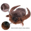 Funny Horn Headgear Pet Hat Headwear Wig Pet Dog Cat Halloween Clothes Pet Dog Accessories For Large Dogs Pet Supplies