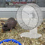 Silent Hamster Wheel Quiet Spinner Small Animals Exercise Wheels Super Quiet Hedgehog Acrylic Silent Spin With Height Adjustable