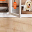 Household Small and Medium Dogs Teddy Pet Dog Fence Visual Cat Cage Dog Fence Indoor Panoramic Transparent Dog Cage