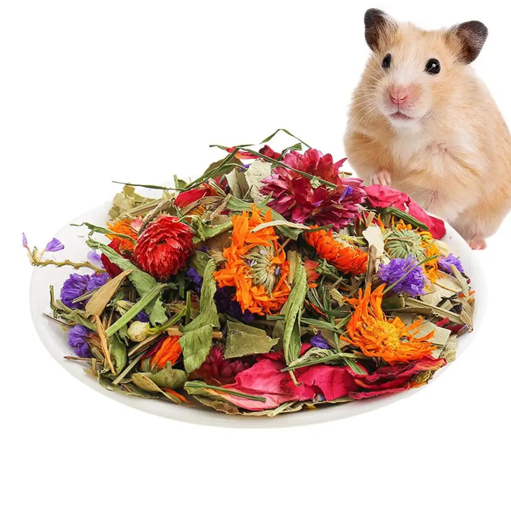 Hamster Flowers Natural Dried Flower Gerbil Bedding Odor Control Enclosure Habitat Decor For Rabbits Gerbils Or Other Small