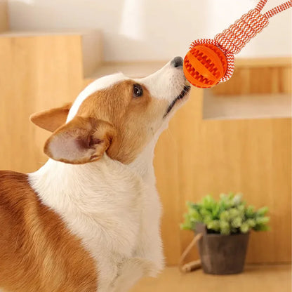 Durable Dog Rope Toys Ball on Rope, Tug of War Dog Toy Interactive Exercise Reward Toy for Medium Small Dogs,Rubber Dog Chew Toy