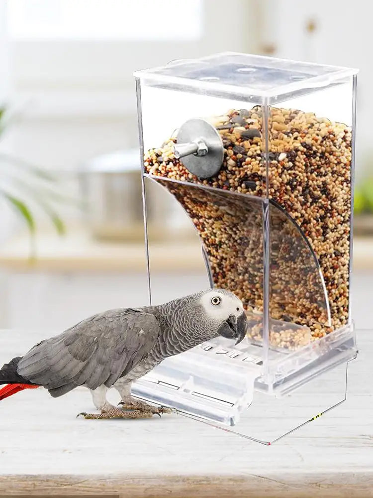 Bird Feeders Parakeet Feeders For Bird Cage Automatic Parrot Feeder Drinker Clear Acrylic Splash-Proof Bird Feeder