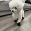 4pcs Winter Dog Shoes Waterproof Shoes For Medium Dogs Winter Boots For Small Dogs Warm Chihuahua Teeth Puppy Socks Yorkshire