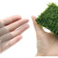 5Pcs Stainless Steel Aquarium Plant Net Aquatic Moss Plants Landscaping Aquatic Fish Tank Decoration Accessories 8cmx8cm acuario