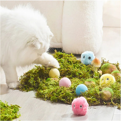 Smart Interactive Ball Cat Toys Automatic Bouncing Rolling Ball Cat Mint Ball Sound Grinding Bite Resistant Cat and Pet Products