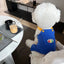 Dog Jumpsuit Summer Puppy Clothes 2024 Cute Pet Rompers Color Block Casual Dog Pants Bichon Pug Chihuahua Suspenders Dog Coat
