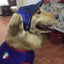 Sport Dog Baseball Cap Outdoor Pet Sunbonnet Hats Puppy Cap with Adjustable Ears Hole for Dogs Outdoor Summer Dogs Accessories