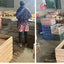 in stock FCS Cheap Outdoor Wooden small animal cage pet rabbit hutch bunny House