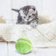 Dog Chewing Toy Rolling Ball Plush Sniffing Toy, Pet Supplies, Interactive Cat Toy, Movable Puppy Chew Squeaky Toy for Dogs