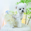 Summer White Puppy Veil Tutu Skirt Multi Layered Female Chihuahua Dresses for Sphinx Cat Wedding Party Small Medium Dog Clothes