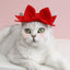 Lovely Bow Tie Hair Hoop for Cats Princess Cat Party Head Wear Pet Gifts Small Medium Dogs Accessories Elastic Cats Pet Products